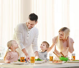 Stainless Steel Juicers 2 Speed Electric Juice Extractor