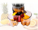 large diameter wide mouth Fruit nutrition slow juicer