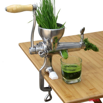 Stainless steel wheat grass wheatgrass slow Juicer