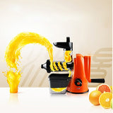 New High Nutrient Hand Press Slow Juicer