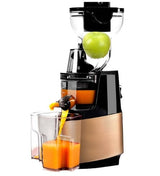 large diameter wide mouth Fruit nutrition slow juicer