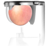 Large Wide Mouth Feeding Chute Whole Apple Slow Juicer